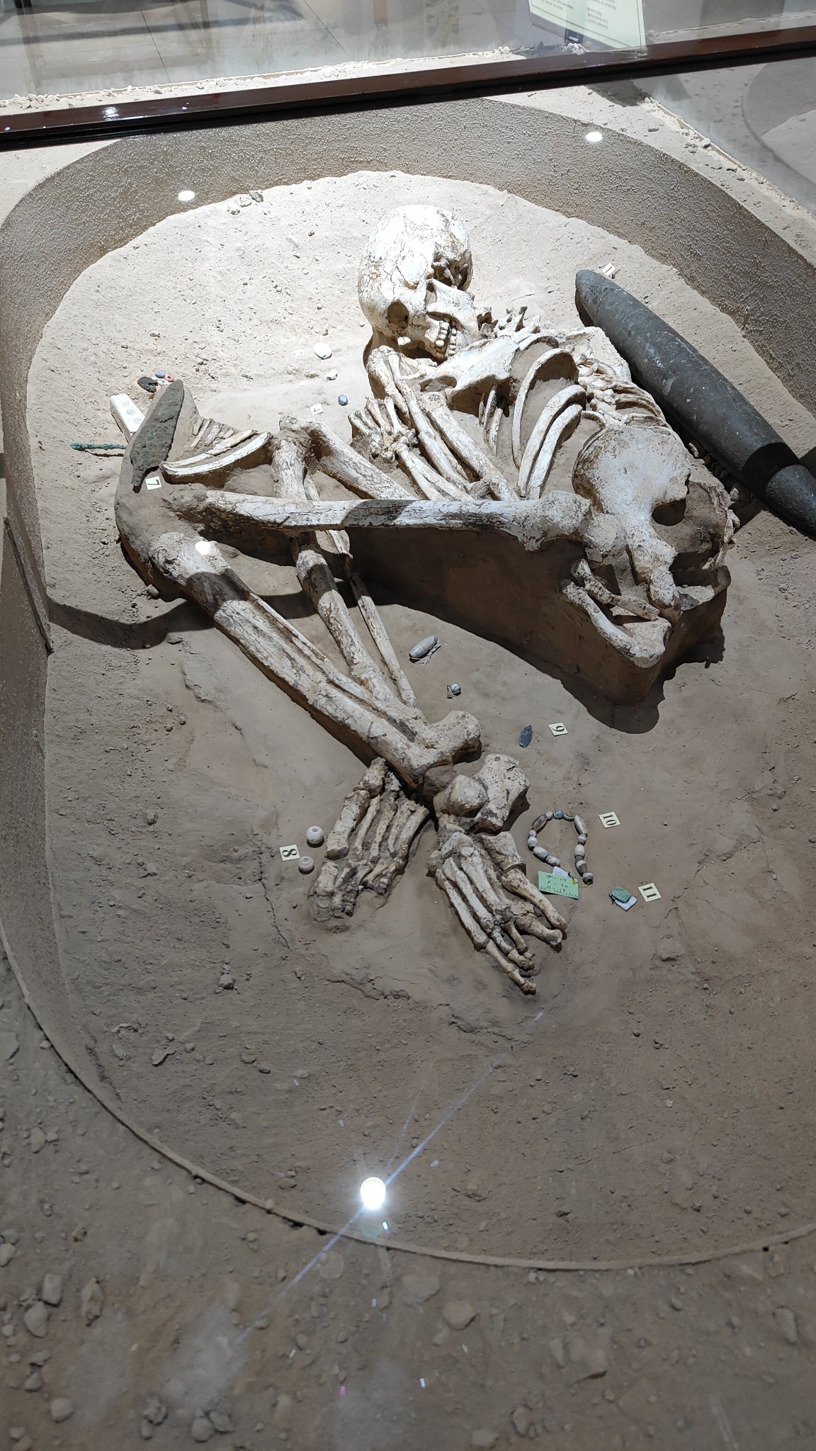 musée national du Tadjikistan - Douchanbé
