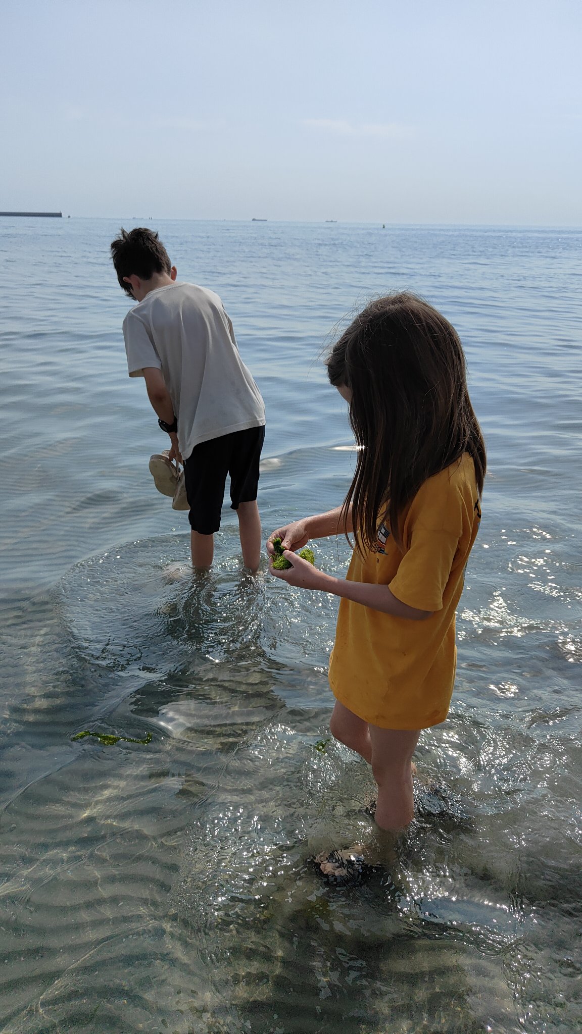 Mer Caspienne 