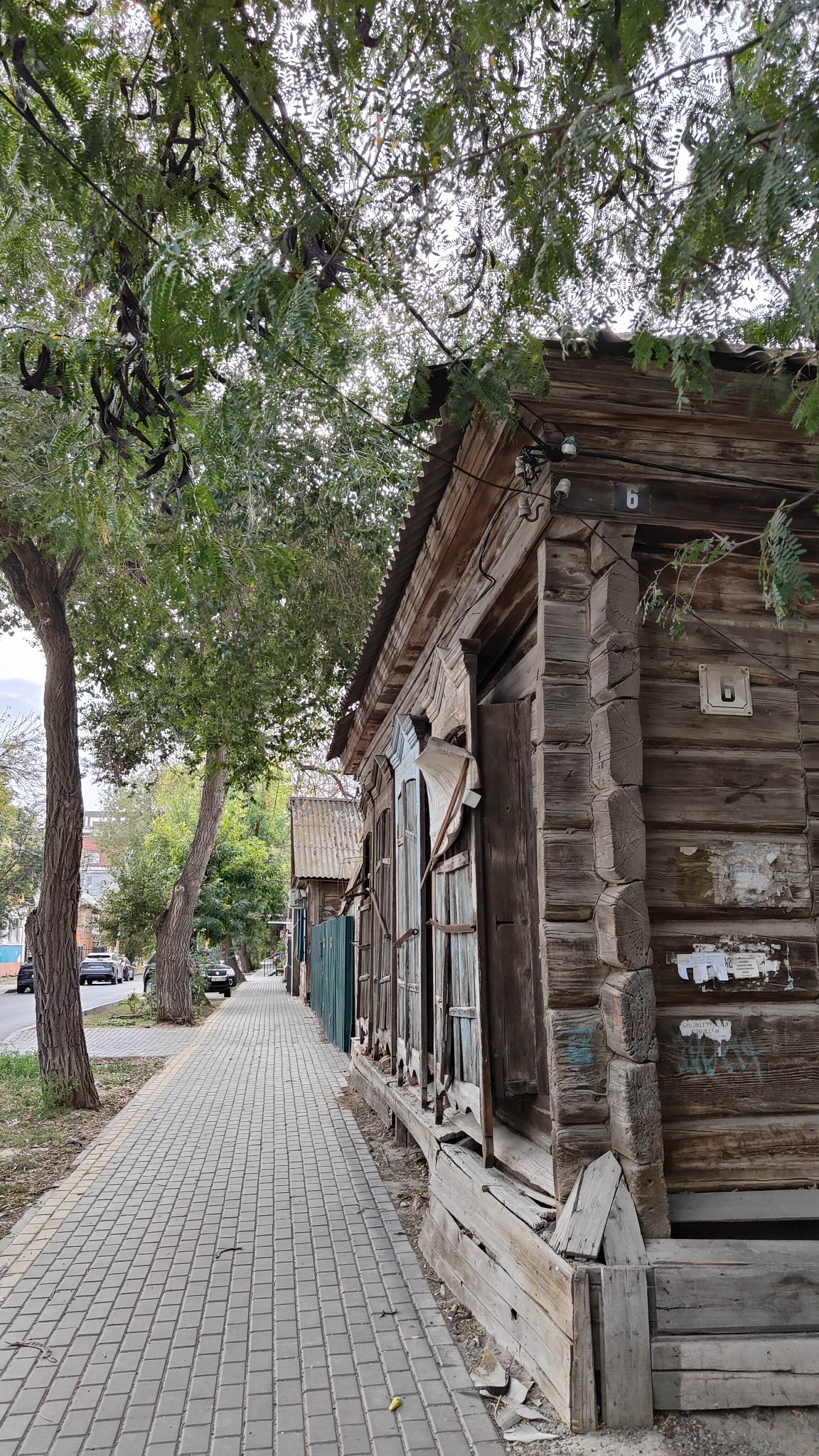 Astrakhan