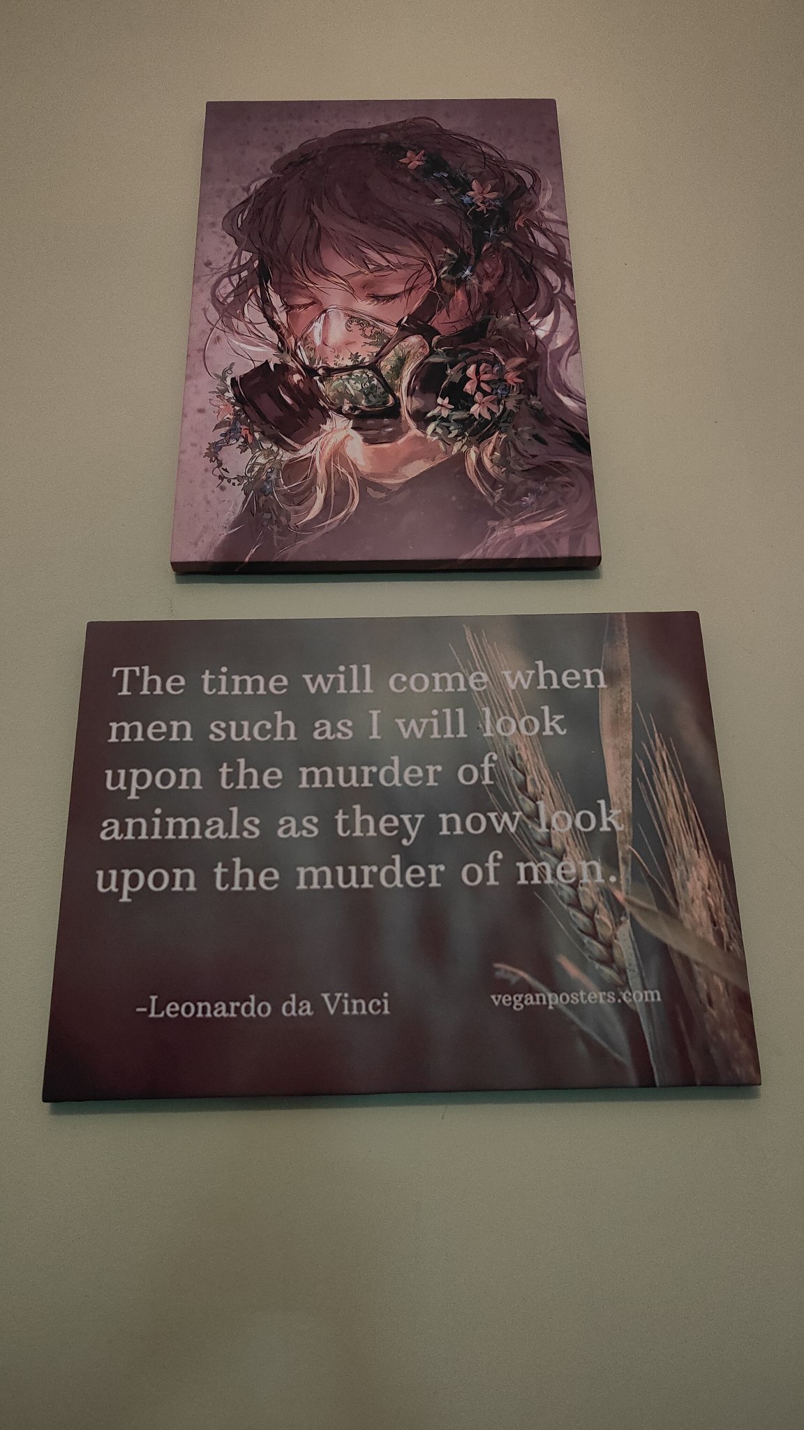citation