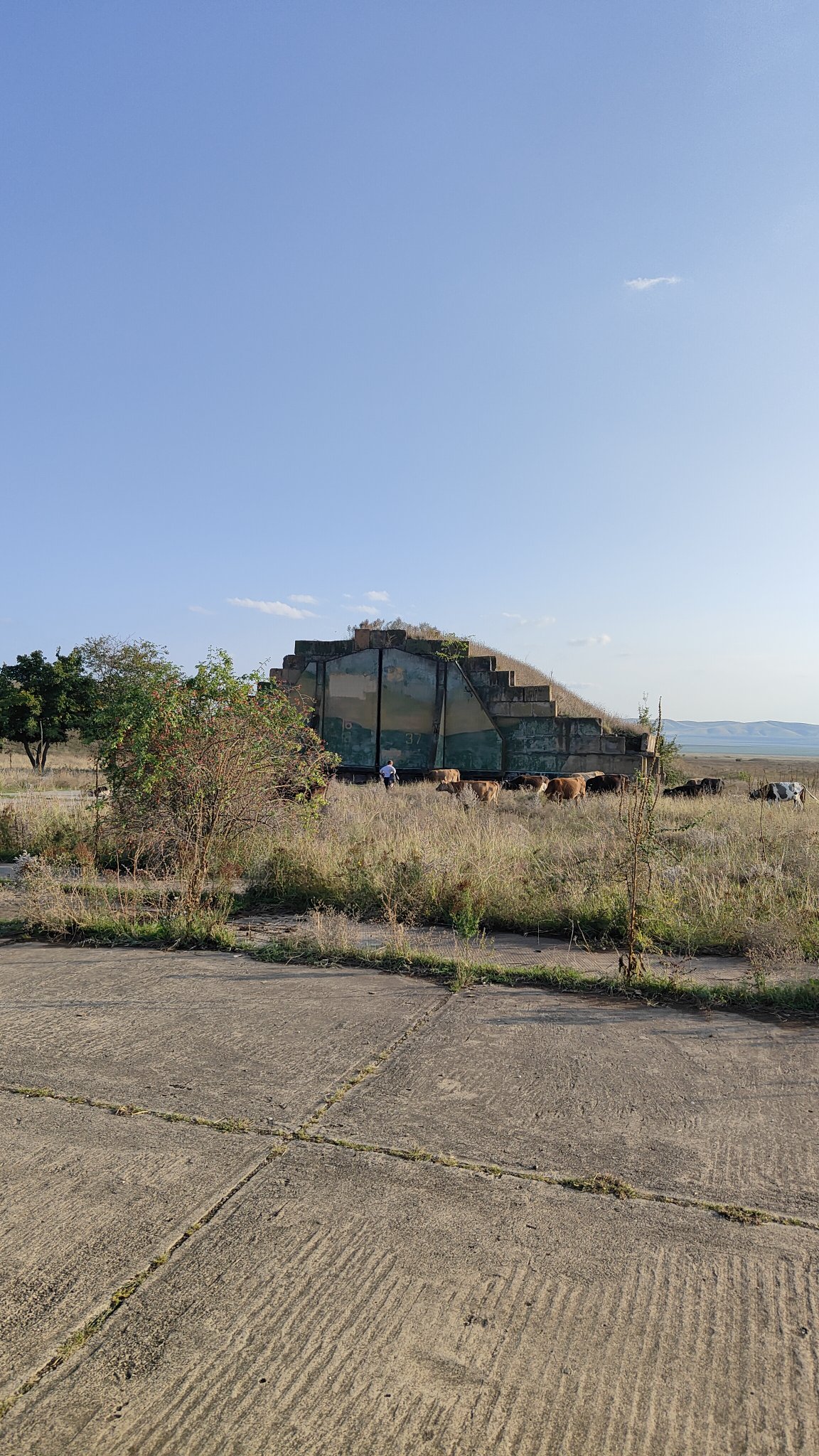 Shiraki Military Airfield