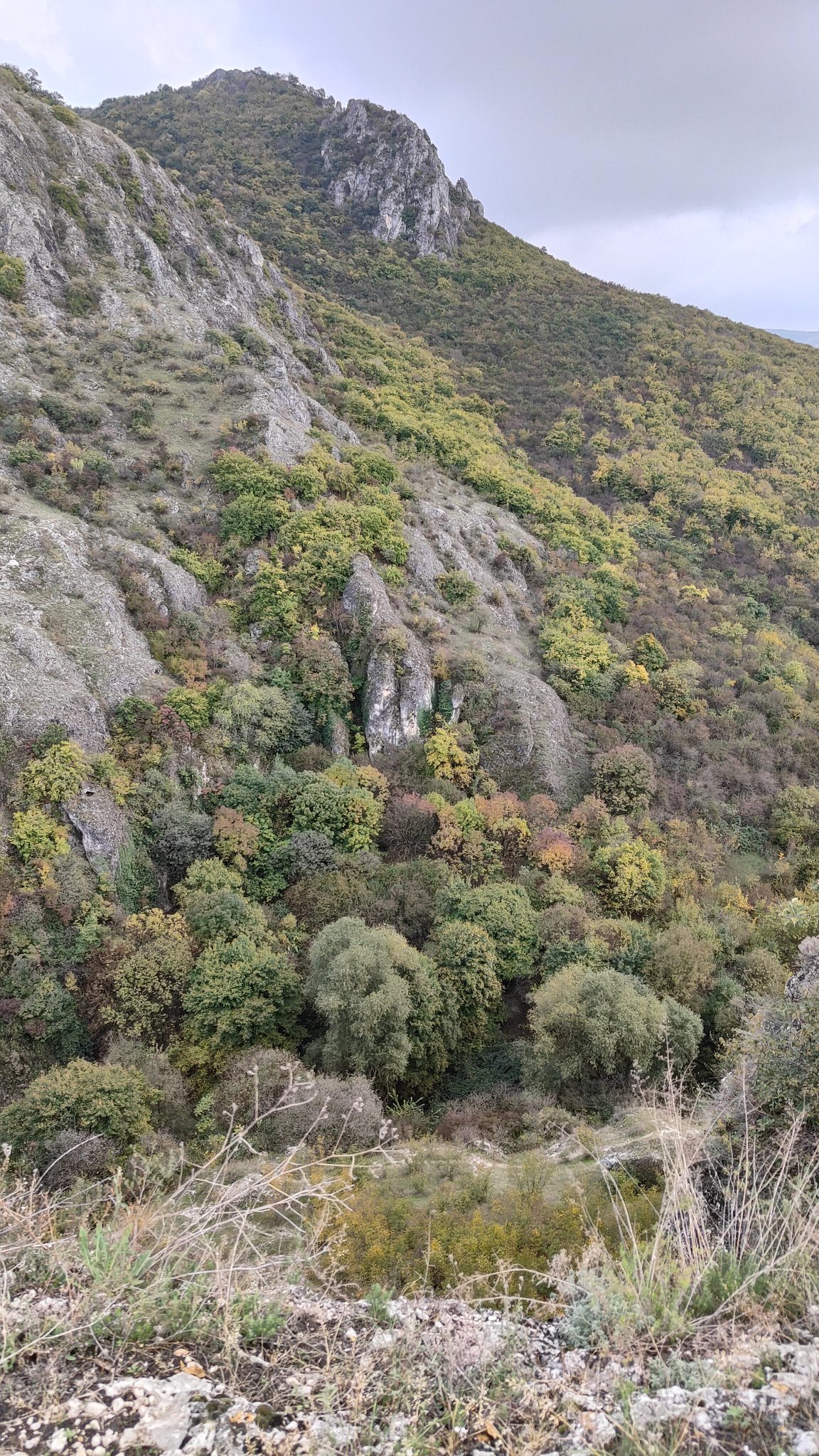 Gorge de l'aigle - Vashlovani