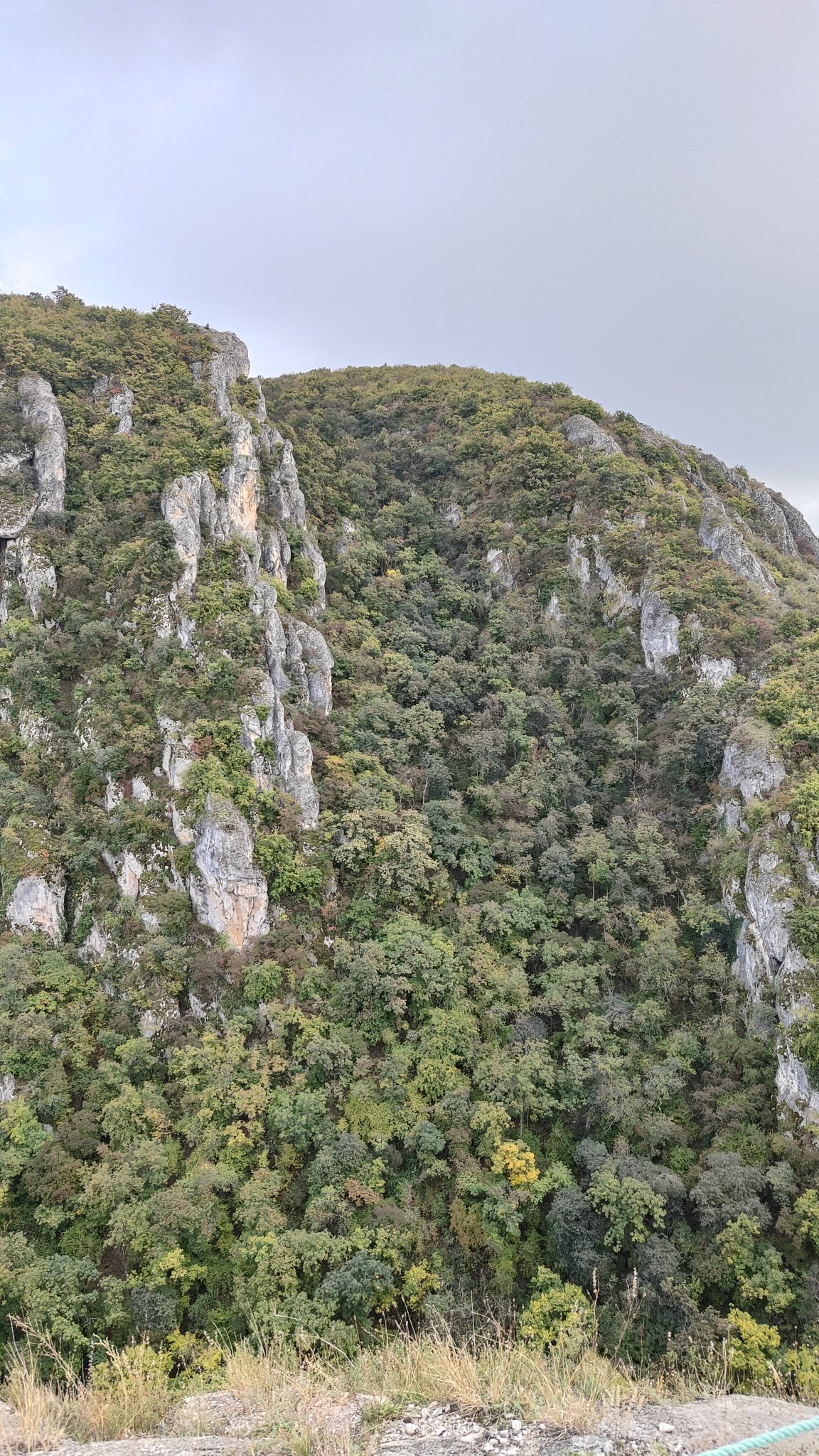Gorge de l'aigle - Vashlovani