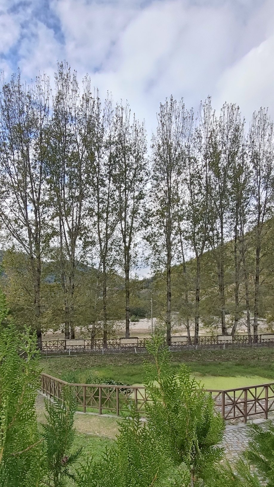 Nature