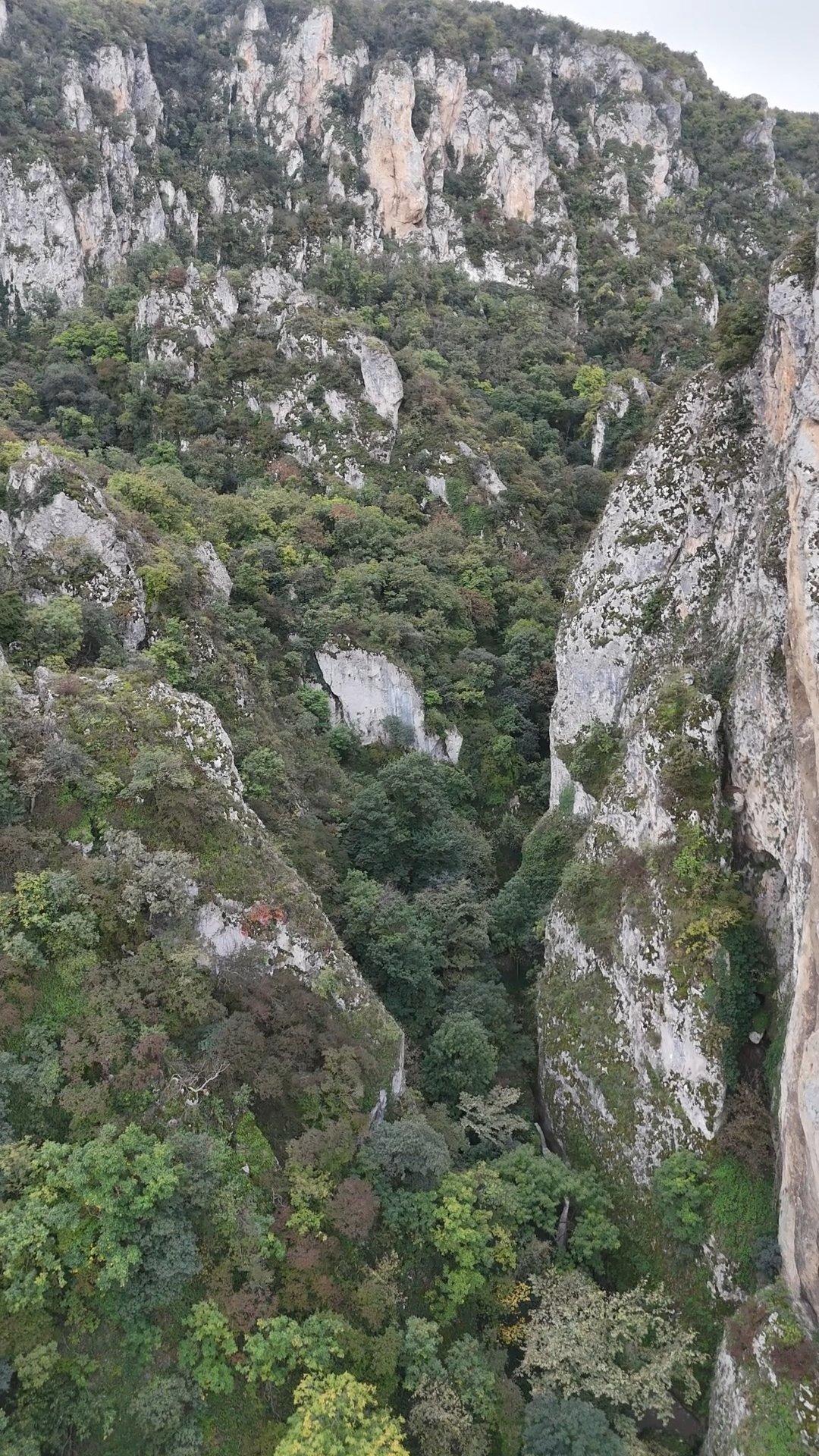 Gorge de l'aigle - Vashlovani