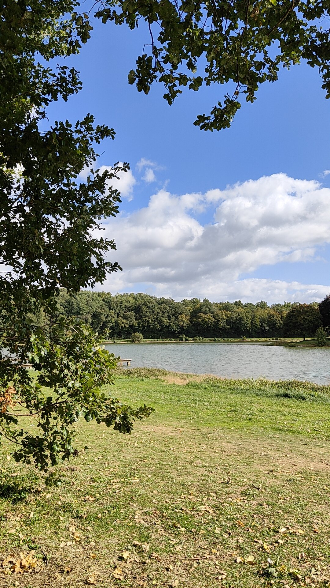 étang et nature