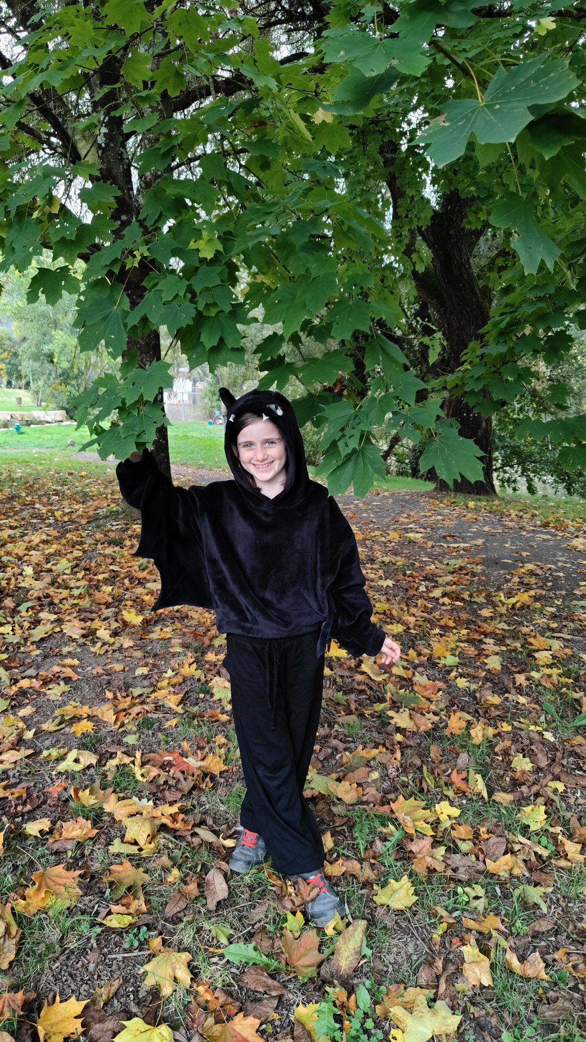Enfant sous un arbre