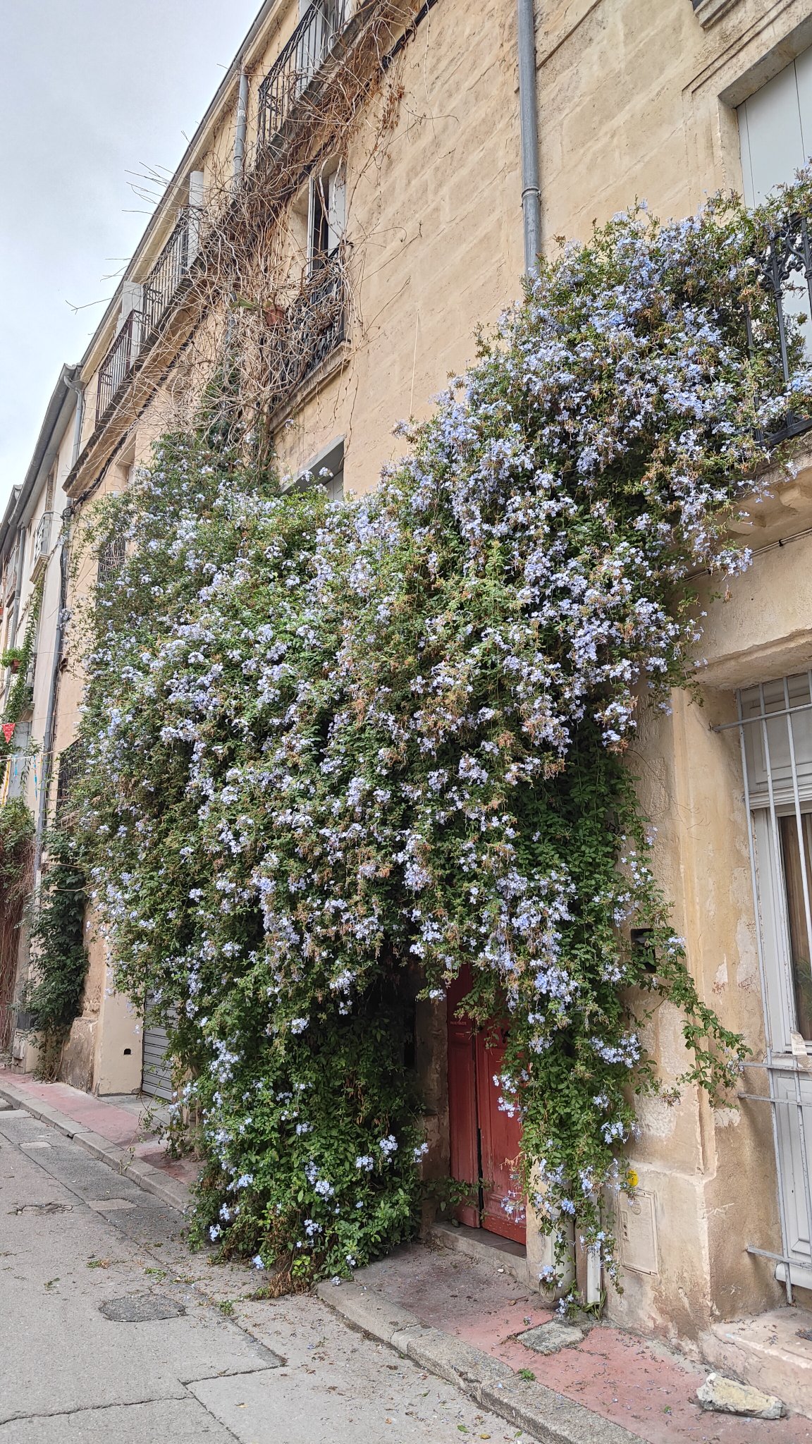 Rue de Montpellier