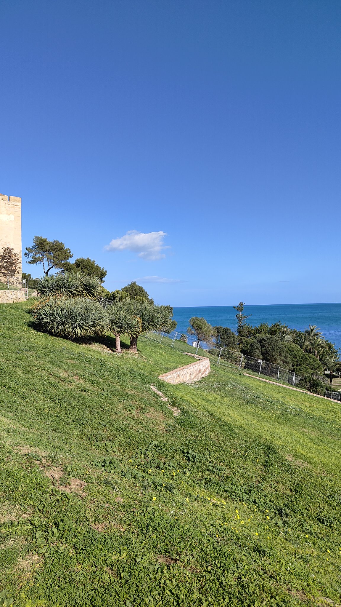 Castillon Sohail Fuengirola
