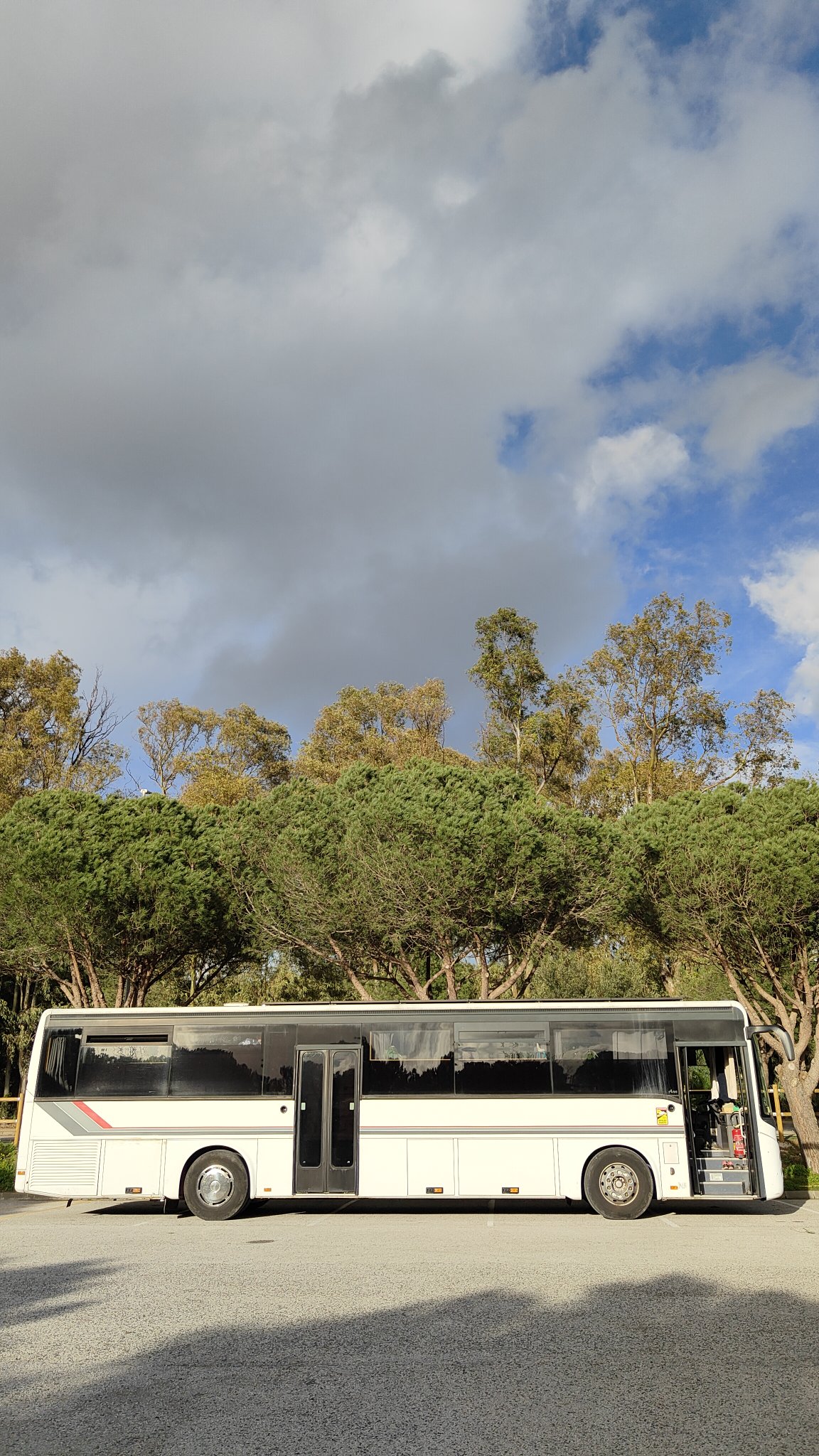 Bus