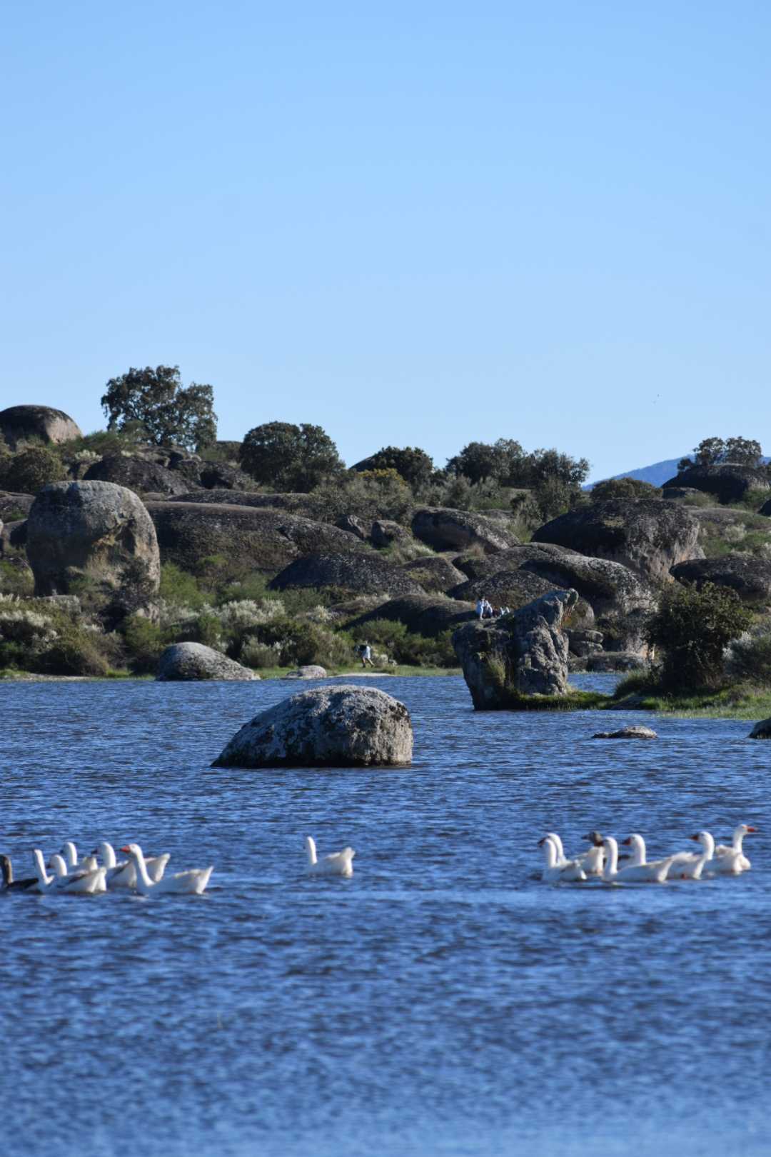 Parc naturel Los Barruecos