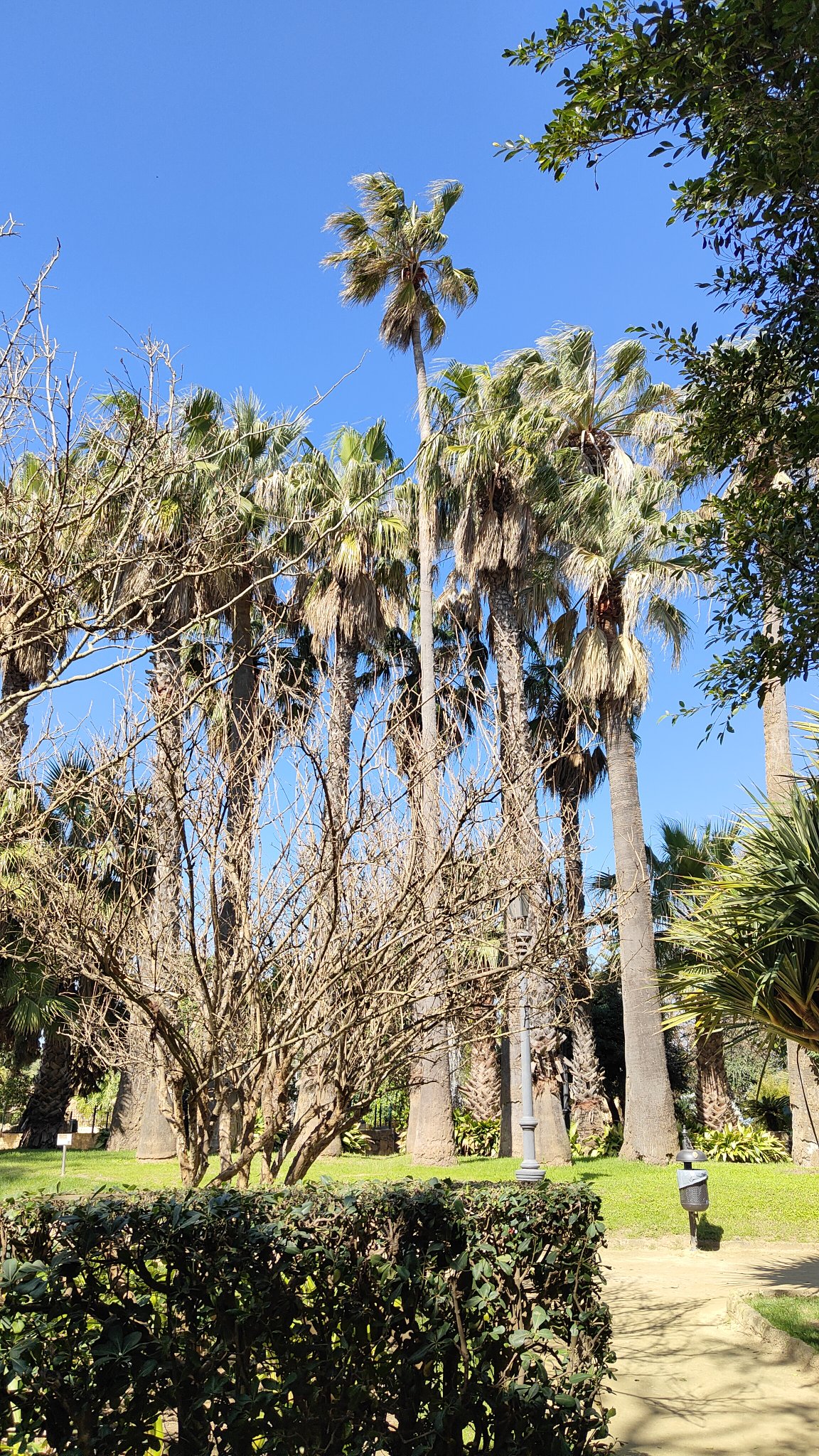 parc botanique Genovés