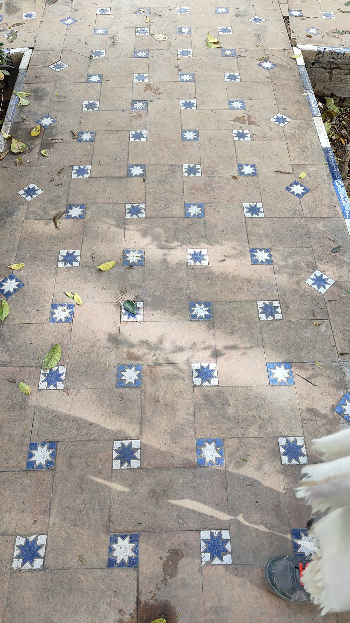 Sol en mosaïques
