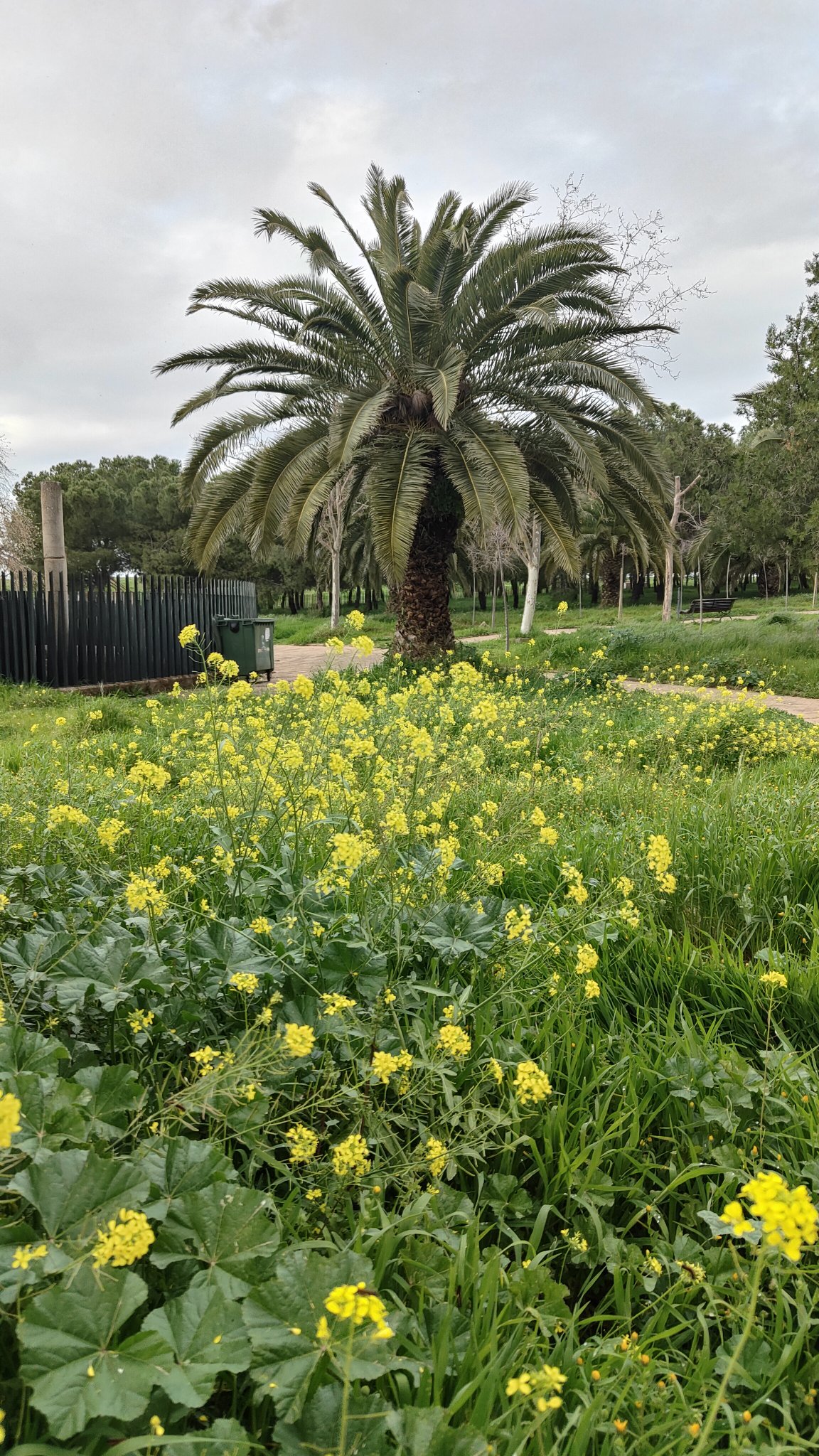 Parc Villafranca de los Barros