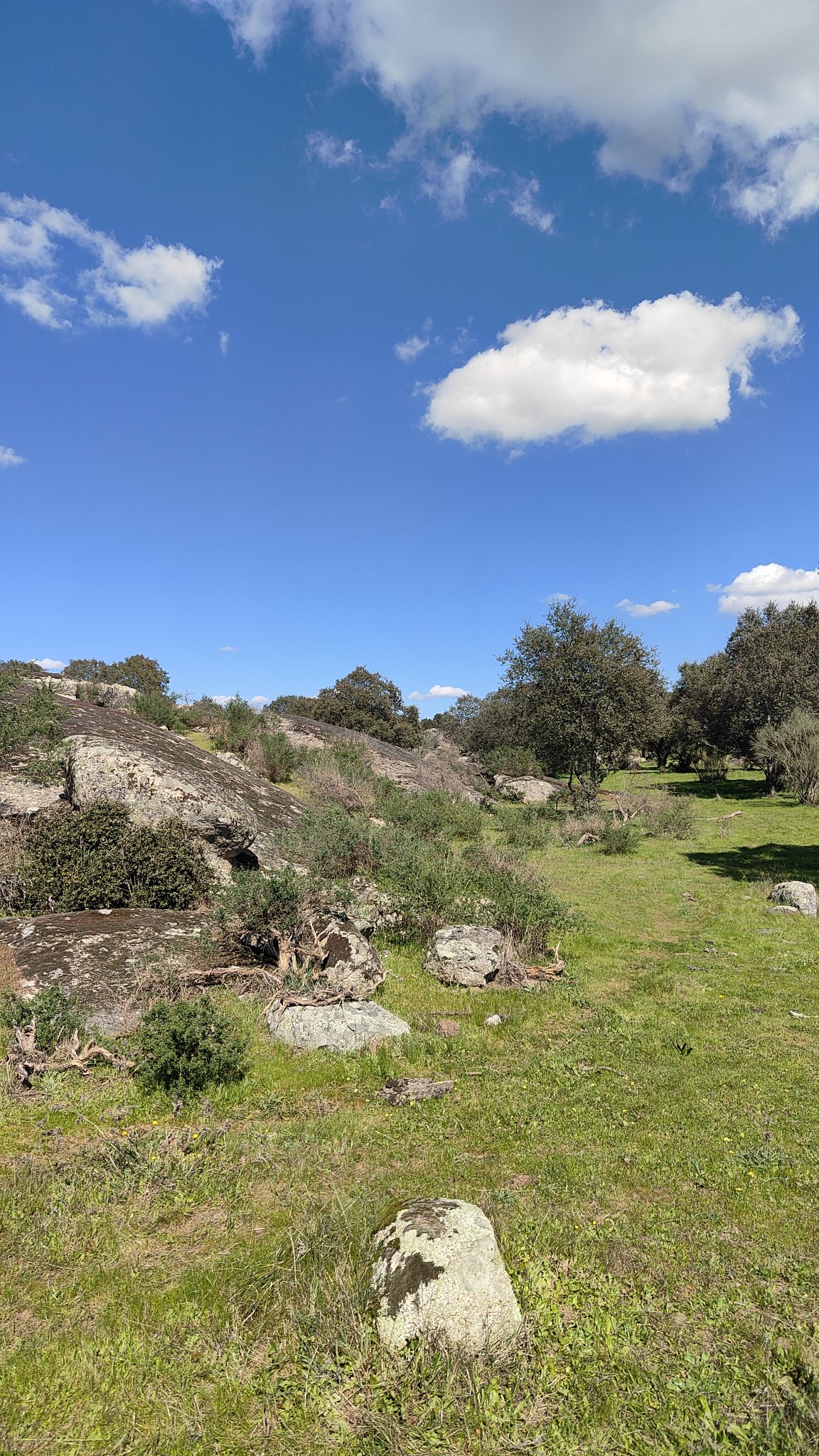parc naturel Los Barruecos