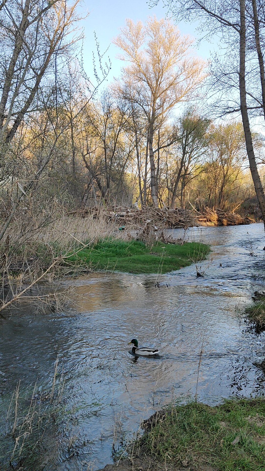Rivière